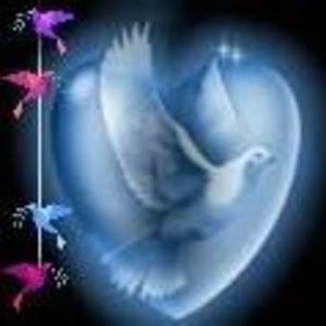 Meet your Posher, Frances